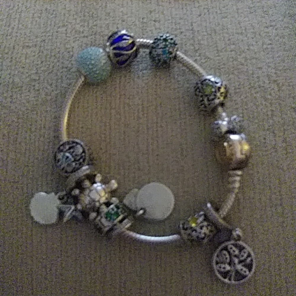 Pandora bracelet